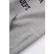 Heren Sweaters Pop Trading Company ST ANNEN HOODED.GREY HEATHER. Direct leverbaar uit de webshop van www.vipshop.nl/.