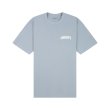 Heren T-shirts Carhartt WIP S/S UNIVERSITY SC.DUSTY ICE. Direct leverbaar uit de webshop van www.vipshop.nl/.